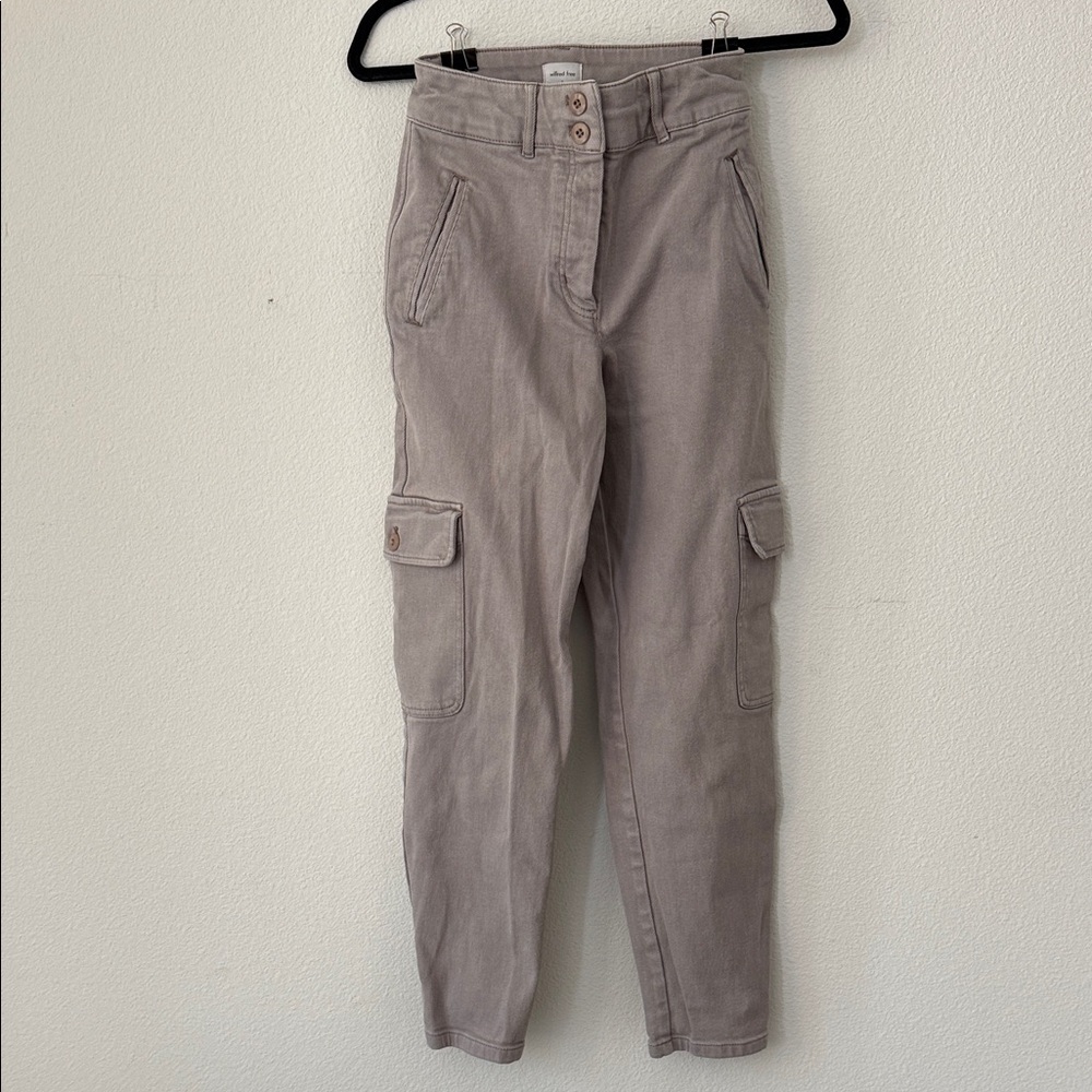 Aritzia Wilfred Free Gray Cargo Pants